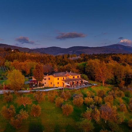 Tenuta Risalpiano Pelago Zewnętrze zdjęcie