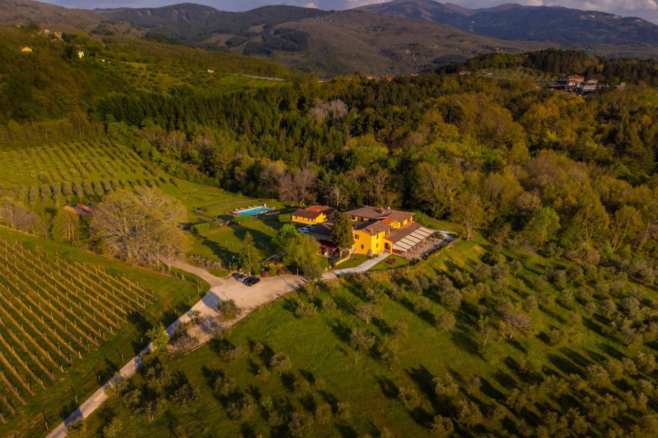 Tenuta Risalpiano Pelago Zewnętrze zdjęcie