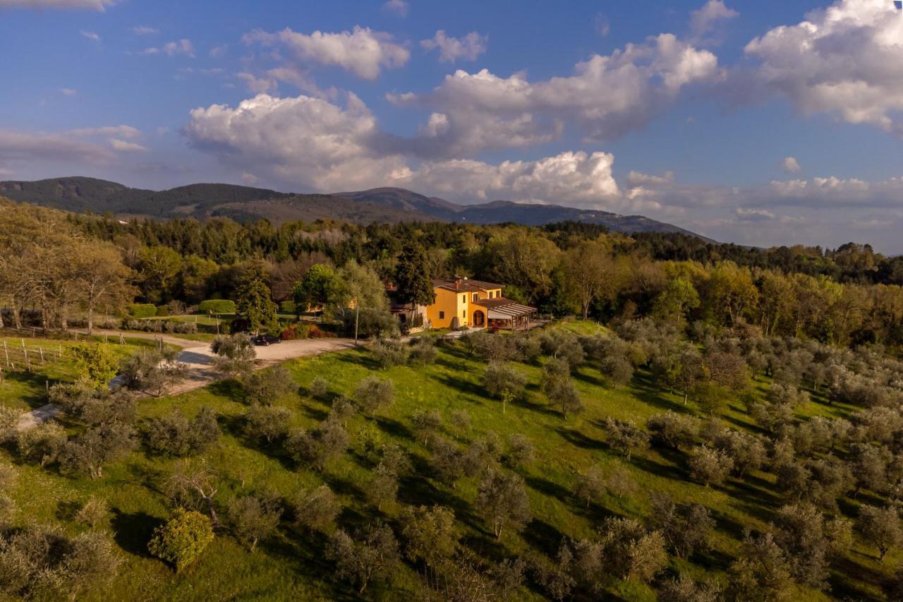 Tenuta Risalpiano Pelago Zewnętrze zdjęcie