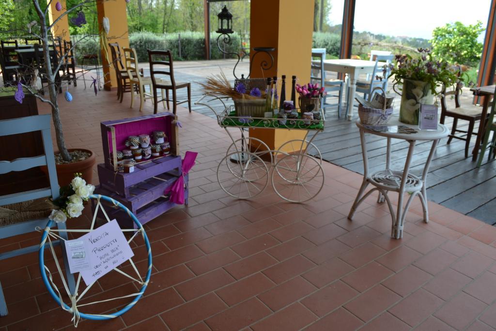 Tenuta Risalpiano Pelago Zewnętrze zdjęcie